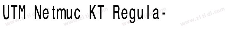 UTM Netmuc KT Regula字体转换